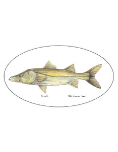 Pescador On The Fly Snook Decal in Snook